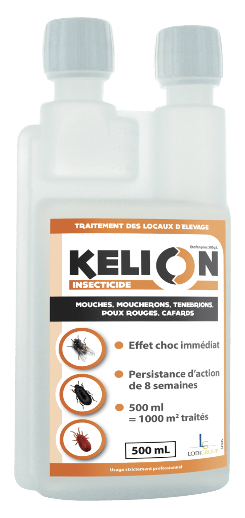 KELION EC